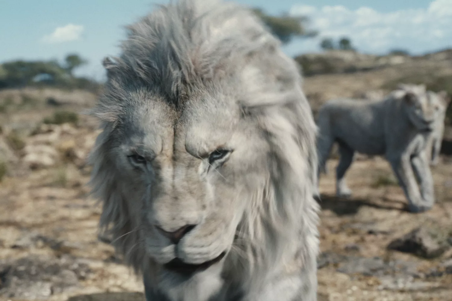 Latest: Mufasa, The Lion King Is Actually Not Spectacular